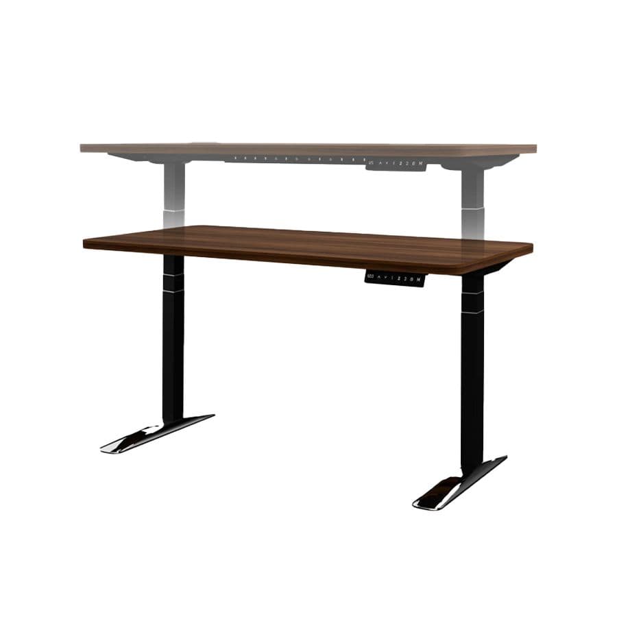 Dual-Motor Electric Standing Desk