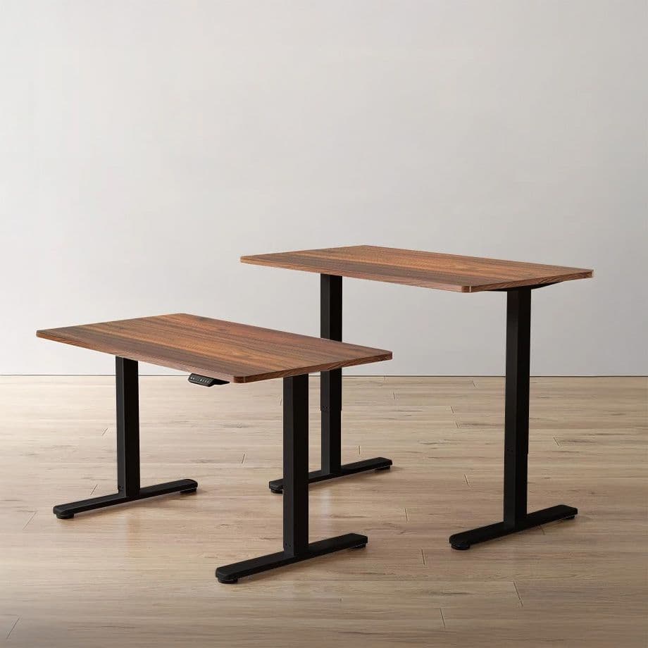 Electrical Adjustable Desk