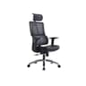 Ergonomic Chair Furradec
