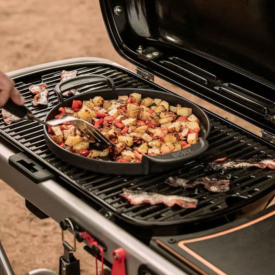 Portable Gas BBQ Grill