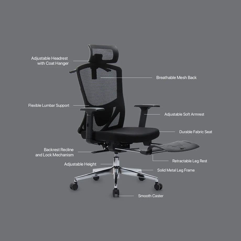Ergonomic Office Chair